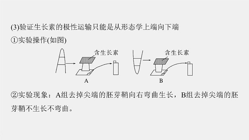 (新高考)2023年高考生物一轮复习课件第8单元微专题九植物激素调节的相关实验探究(含解析)第7页