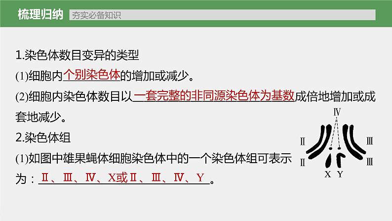 (新高考)2023年高考生物一轮复习课件第7单元第2课时染色体变异(含解析)第5页