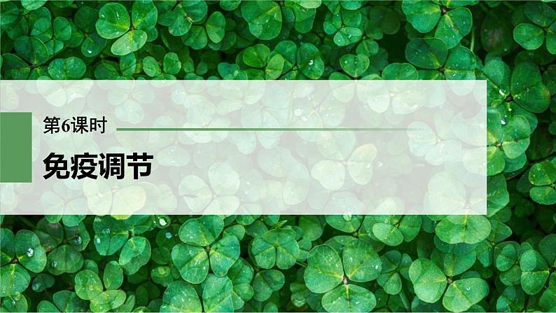 (新高考)2023年高考生物一轮复习课件第8单元第6课时免疫调节(含解析)01