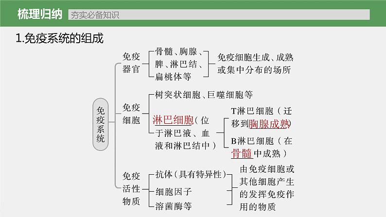 (新高考)2023年高考生物一轮复习课件第8单元第6课时免疫调节(含解析)05