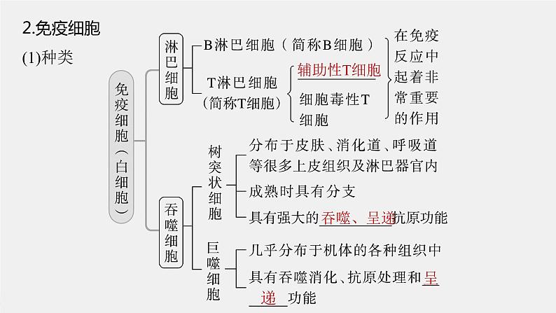 (新高考)2023年高考生物一轮复习课件第8单元第6课时免疫调节(含解析)06