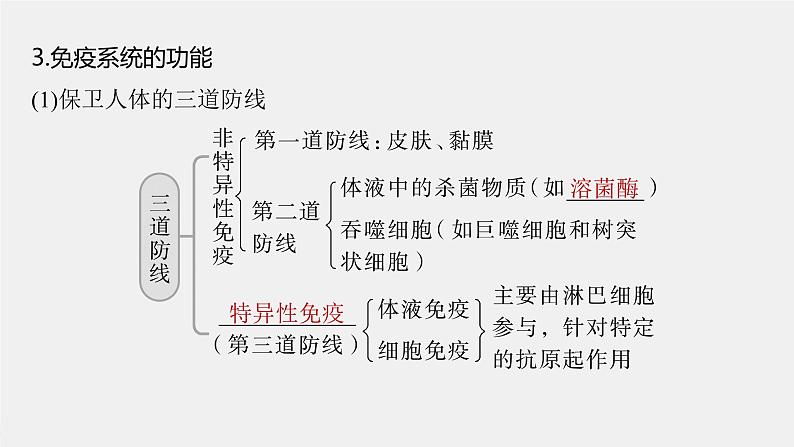 (新高考)2023年高考生物一轮复习课件第8单元第6课时免疫调节(含解析)08