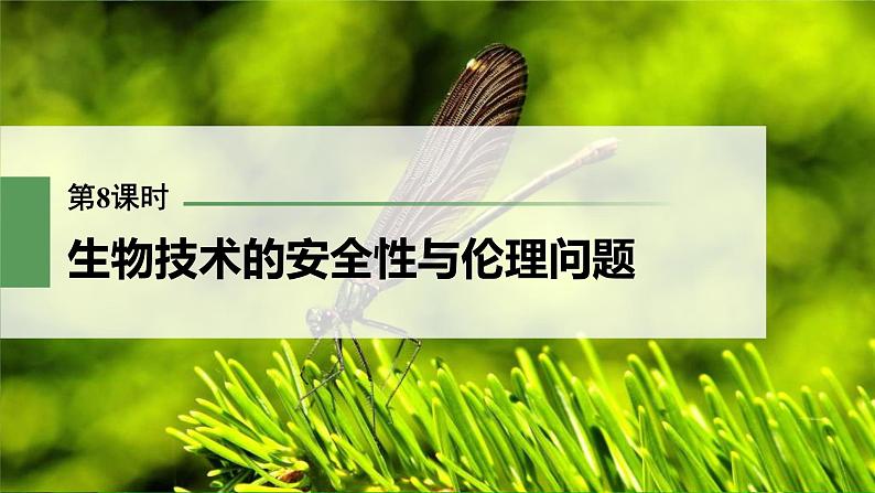 (新高考)2023年高考生物一轮复习课件第10单元第8课时生物技术的安全性与伦理问题(含解析)01