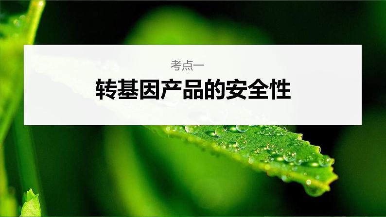 (新高考)2023年高考生物一轮复习课件第10单元第8课时生物技术的安全性与伦理问题(含解析)04