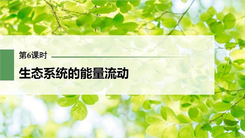 (新高考)2023年高考生物一轮复习课件第9单元第6课时生态系统的能量流动(含解析)01