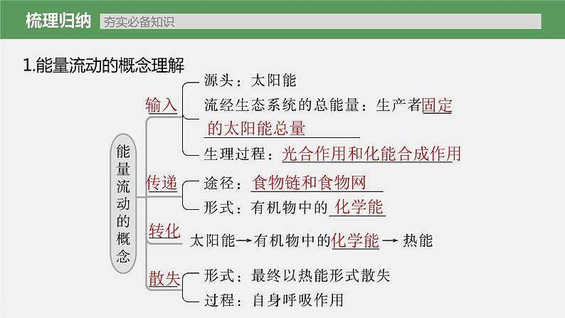 (新高考)2023年高考生物一轮复习课件第9单元第6课时生态系统的能量流动(含解析)03