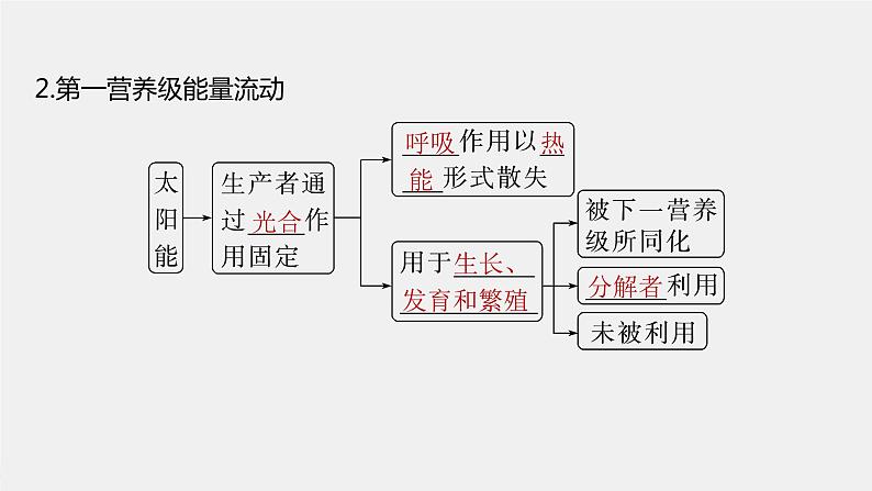 (新高考)2023年高考生物一轮复习课件第9单元第6课时生态系统的能量流动(含解析)05