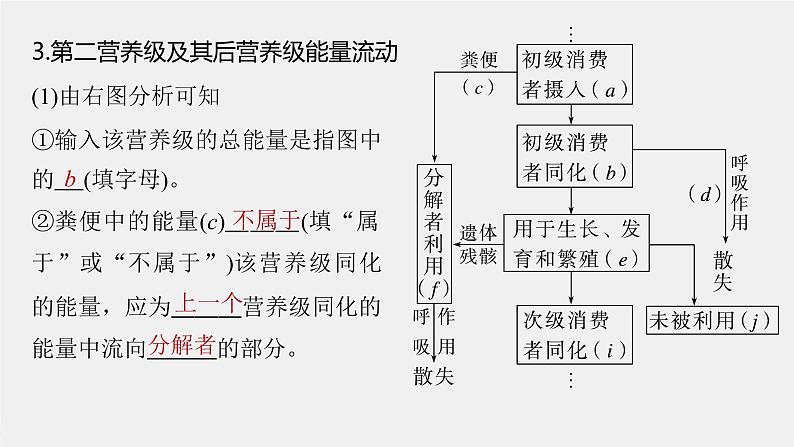 (新高考)2023年高考生物一轮复习课件第9单元第6课时生态系统的能量流动(含解析)07