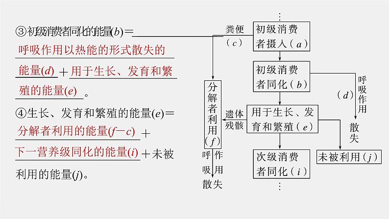 (新高考)2023年高考生物一轮复习课件第9单元第6课时生态系统的能量流动(含解析)08