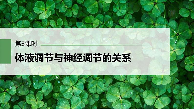 (新高考)2023年高考生物一轮复习课件第8单元第5课时体液调节与神经调节的关系(含解析)01