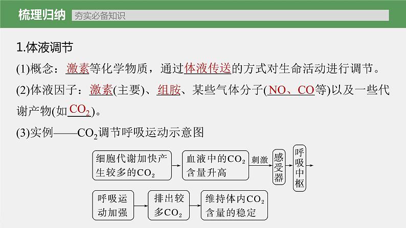 (新高考)2023年高考生物一轮复习课件第8单元第5课时体液调节与神经调节的关系(含解析)05