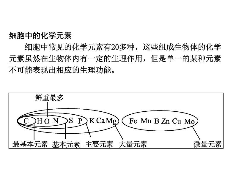 (新高考)高考生物二轮复习考点精讲课件2细胞中的元素和化合物(含解析)02