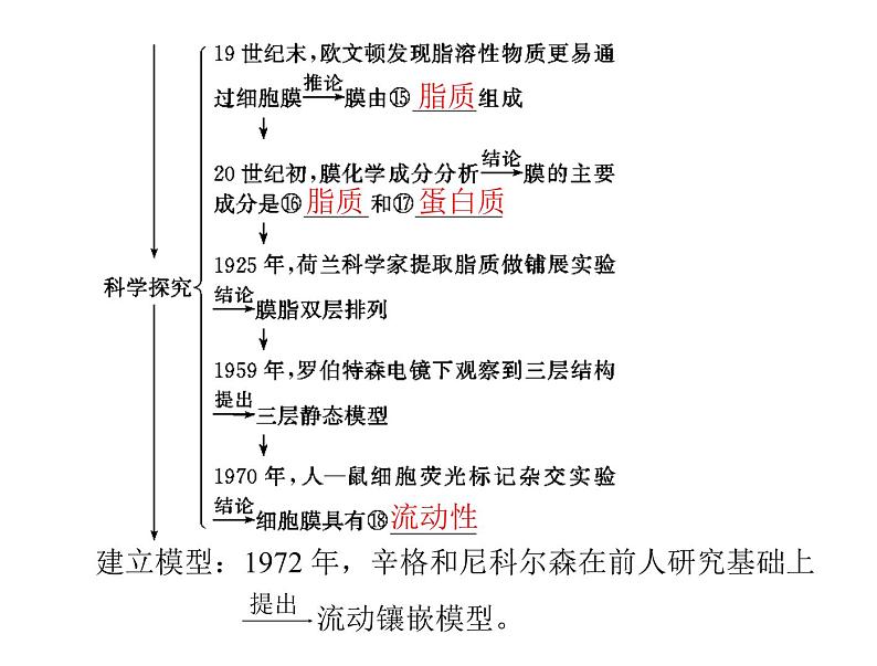 (新高考)高考生物二轮复习考点精讲课件3细胞的结构和功能及物质运输(含解析)第3页