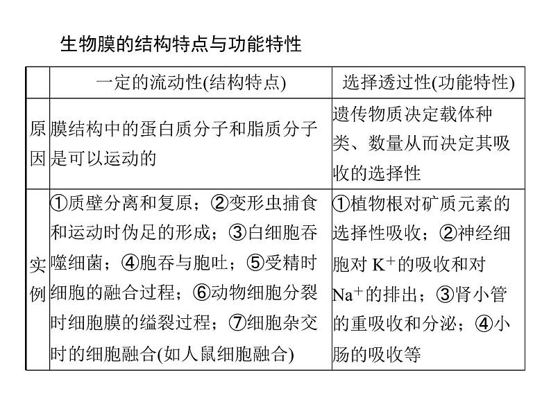 (新高考)高考生物二轮复习考点精讲课件3细胞的结构和功能及物质运输(含解析)第5页