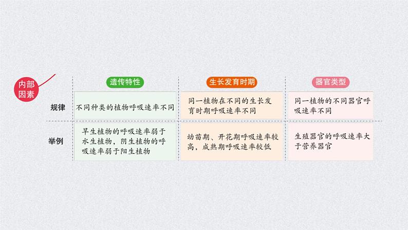 (新高考)高考生物二轮复习考点精讲课件5细胞呼吸的原理和应用(含解析)05