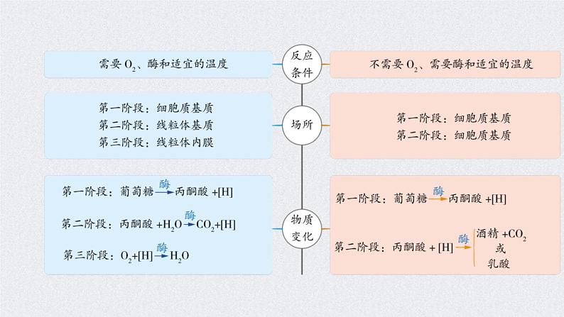 (新高考)高考生物二轮复习考点精讲课件5细胞呼吸的原理和应用(含解析)07