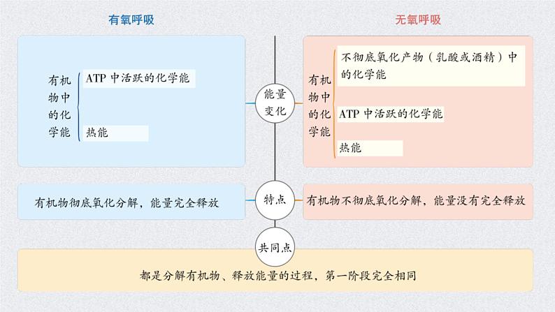 (新高考)高考生物二轮复习考点精讲课件5细胞呼吸的原理和应用(含解析)08