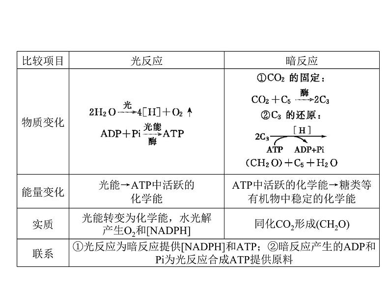 (新高考)高考生物二轮复习考点精讲课件6光合作用与能量转化(含解析)02