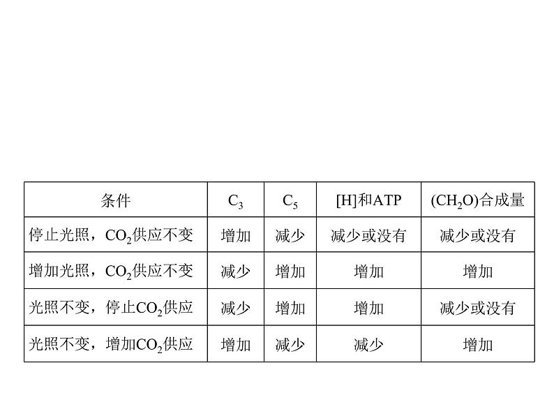 (新高考)高考生物二轮复习考点精讲课件6光合作用与能量转化(含解析)04