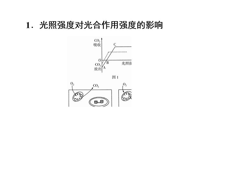 (新高考)高考生物二轮复习考点精讲课件6光合作用与能量转化(含解析)05