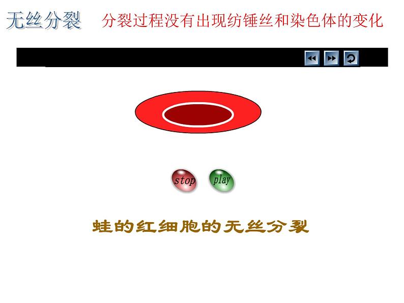 (新高考)高考生物二轮复习考点精讲课件7细胞的生命历程(含解析)07