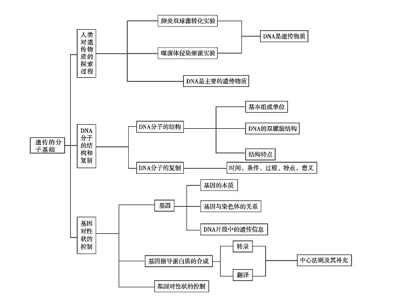 (新高考)高考生物二轮复习考点精讲课件9遗传的分子基础(含解析)第2页