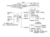 (新高考)高考生物二轮复习考点精讲课件11生命活动的调节与稳态(含解析)