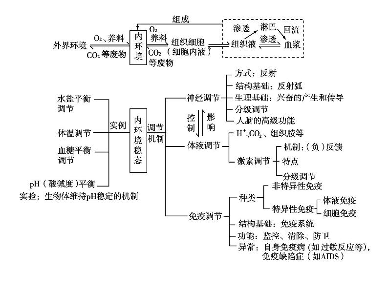 (新高考)高考生物二轮复习考点精讲课件11生命活动的调节与稳态(含解析)02