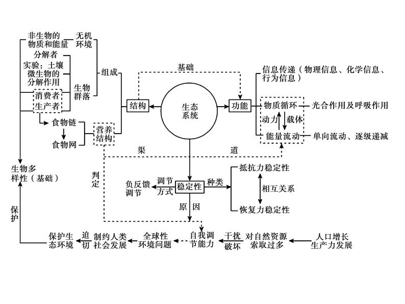 (新高考)高考生物二轮复习考点精讲课件13生态系统及其稳定性人与环境(含解析)02