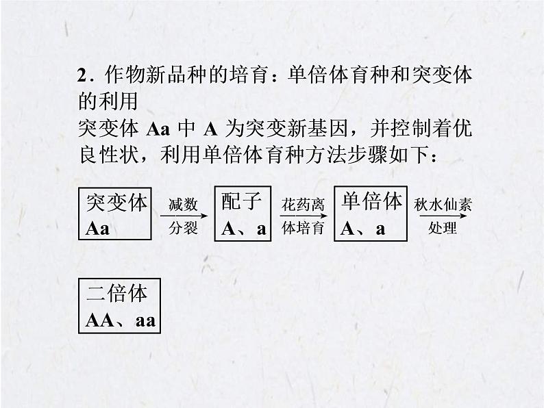 (新高考)高考生物二轮复习考点精讲课件15细胞工程(含解析)08