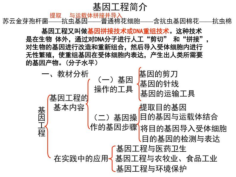 (新高考)高考生物二轮复习考点精讲课件16基因工程、生物技术的安全性与伦理问题(含解析)02