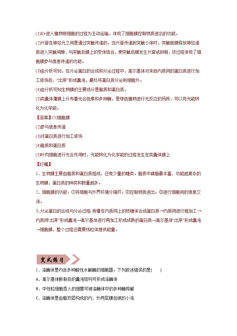 (新高考)高考生物二轮复习易错点02细胞的结构和功能（2份打包，含解析+原卷版，可预览）03