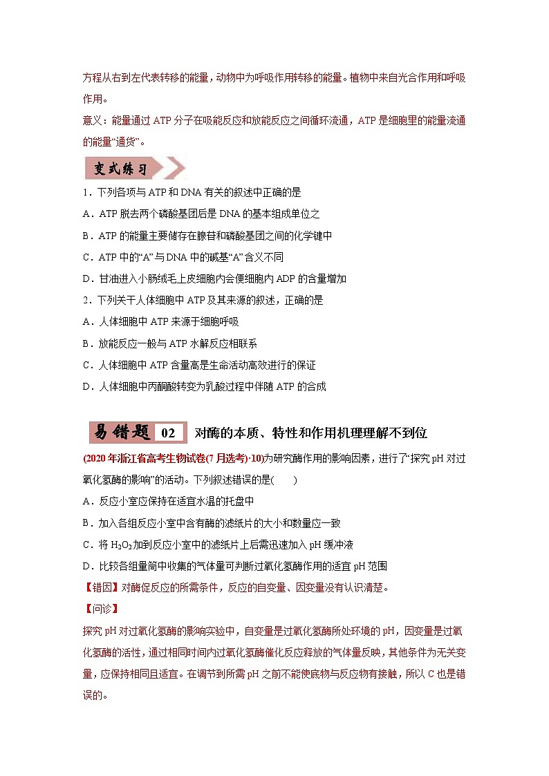 (新高考)高考生物二轮复习易错点03细胞的代谢1（酶、ATP、渗透实验）（2份打包，含解析+原卷版，可预览）02