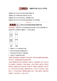 (新高考)高考生物二轮复习易错点03细胞的代谢2（光合与呼吸）（2份打包，含解析+原卷版，可预览）