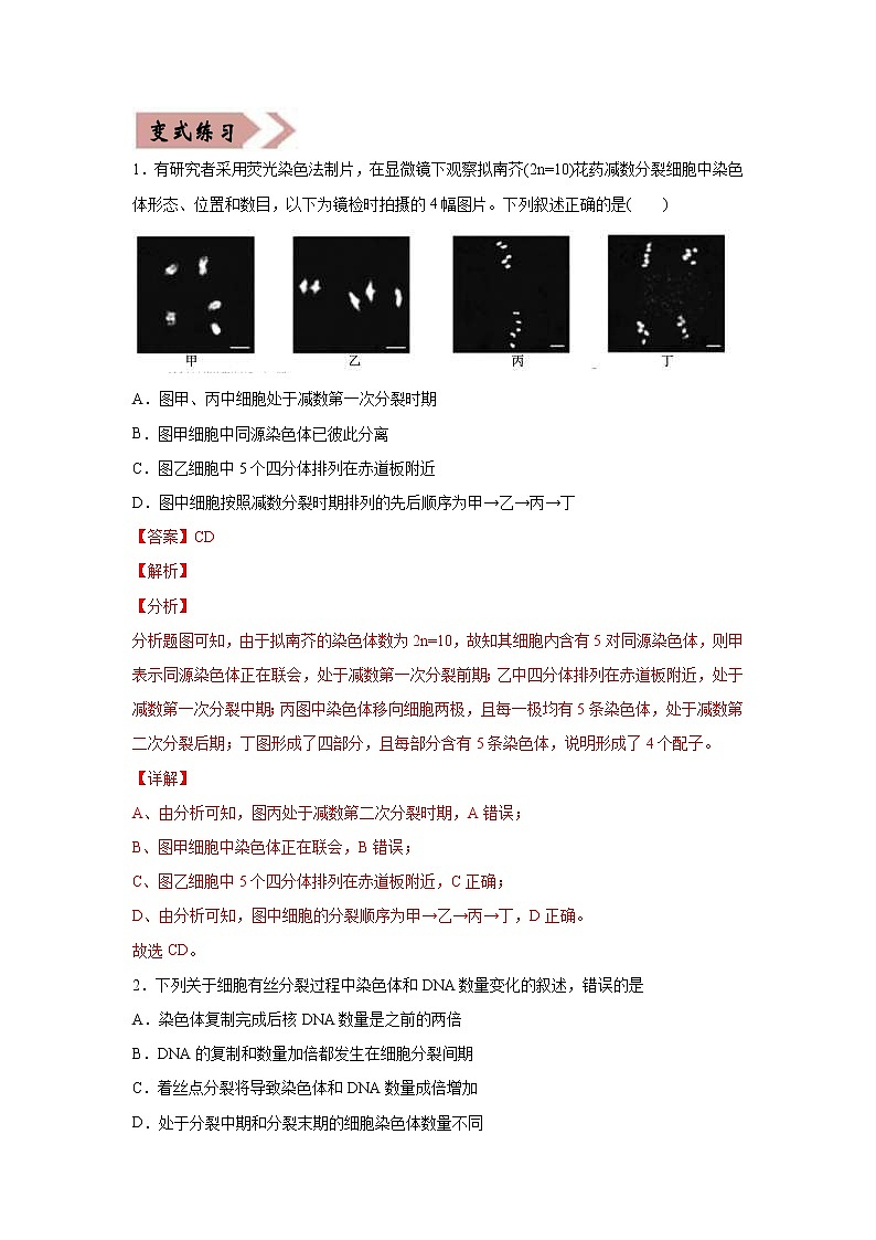 (新高考)高考生物二轮复习易错点04细胞的生命历程（2份打包，含解析+原卷版，可预览）02