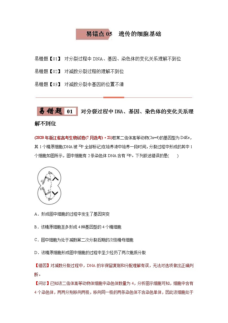 (新高考)高考生物二轮复习易错点05遗传的细胞基础（2份打包，含解析+原卷版，可预览）01