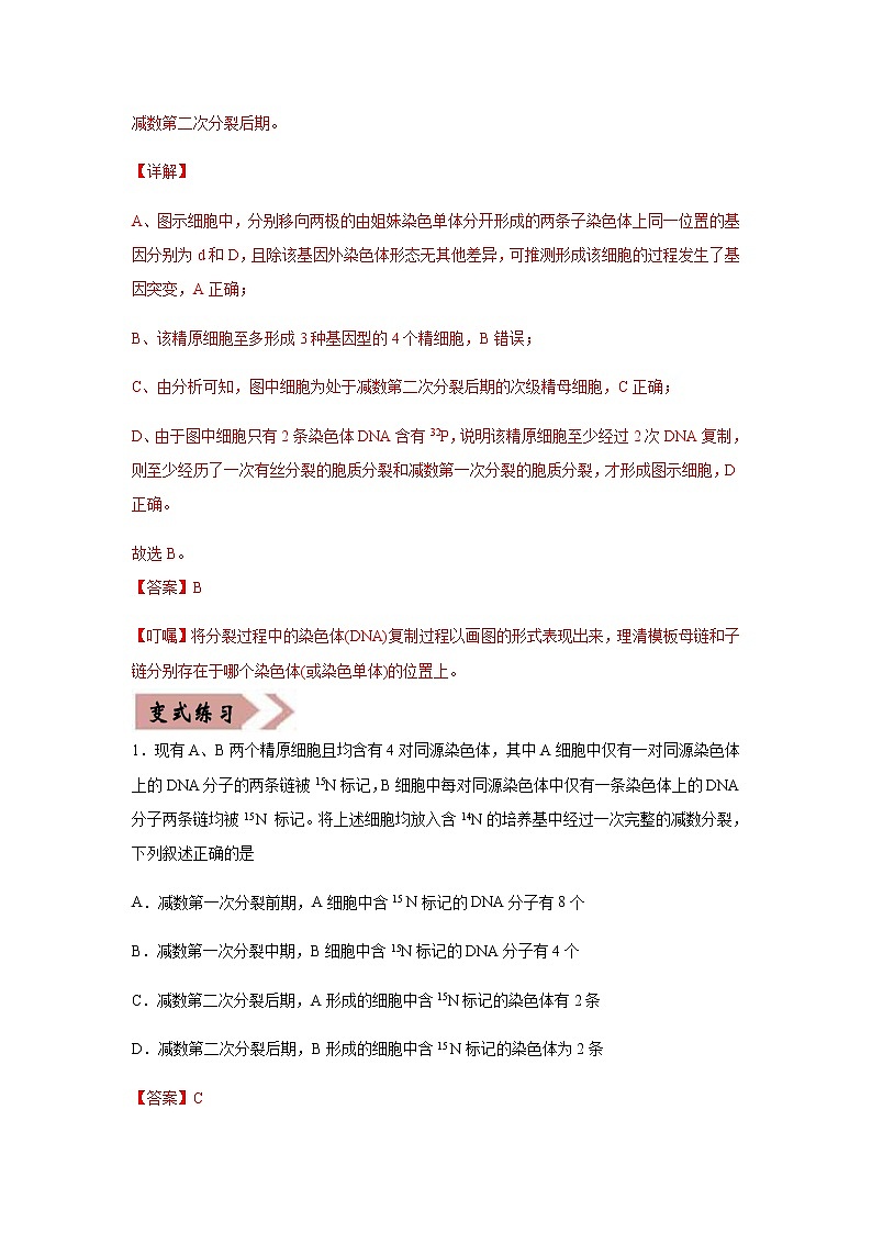 (新高考)高考生物二轮复习易错点05遗传的细胞基础（2份打包，含解析+原卷版，可预览）02