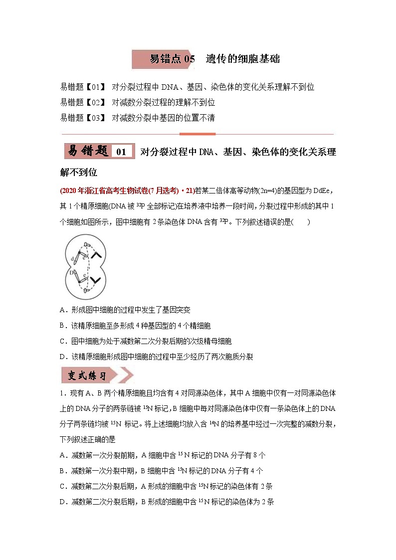 (新高考)高考生物二轮复习易错点05遗传的细胞基础（2份打包，含解析+原卷版，可预览）01