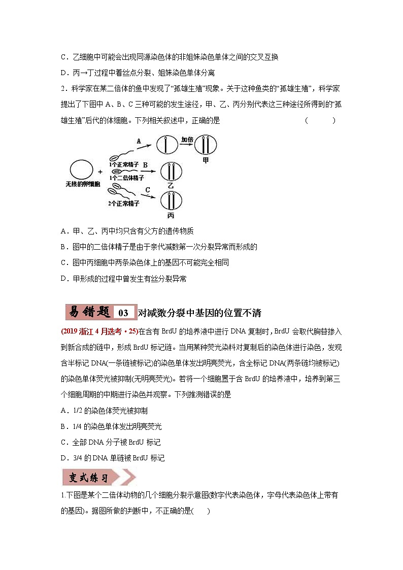 (新高考)高考生物二轮复习易错点05遗传的细胞基础（2份打包，含解析+原卷版，可预览）03