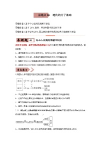 (新高考)高考生物二轮复习易错点06遗传的分子基础（2份打包，含解析+原卷版，可预览）