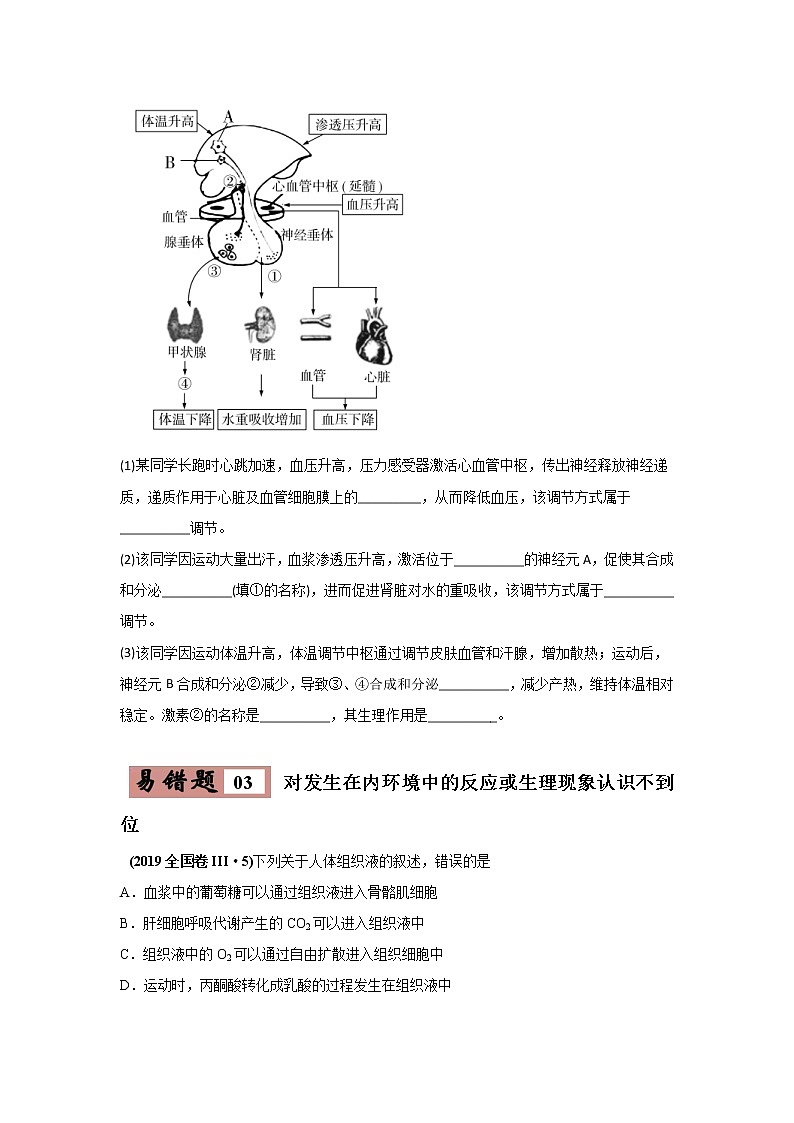 (新高考)高考生物二轮复习易错点10细胞生活的环境和稳态（2份打包，含解析+原卷版，可预览）03