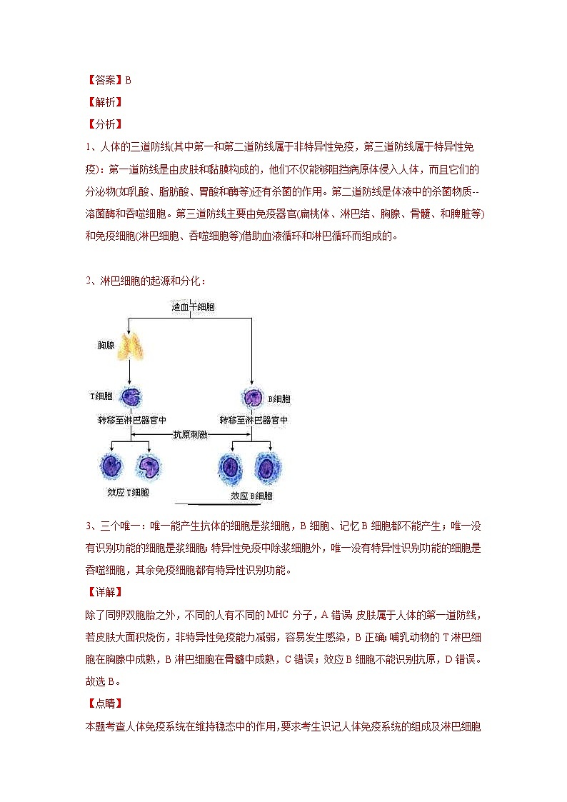 (新高考)高考生物二轮复习易错点13免疫调节（含解析）第3页