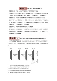 (新高考)高考生物二轮复习易错点14植物生命活动的调节（2份打包，含解析+原卷版，可预览）