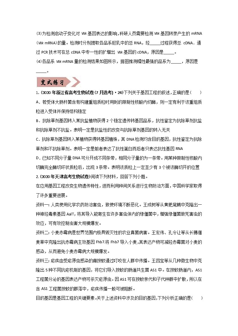 (新高考)高考生物二轮复习易错点18现代生物技术专题（2份打包，含解析+原卷版，可预览）02