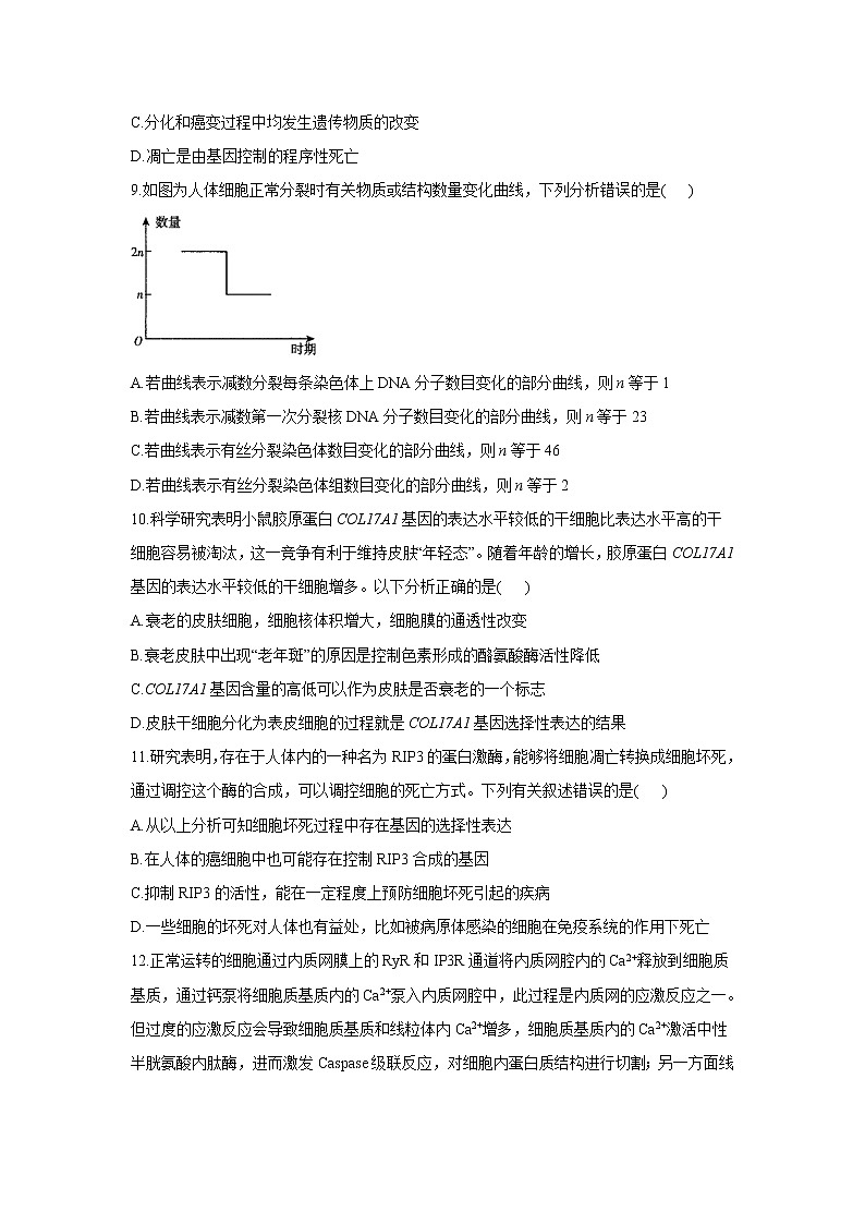 (新高考)2022届高考生物二轮复习专题综合练（三）：细胞的生命历程（有解析）第3页