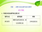 2022年高考生物复习：加强提升课件(八)动物生命活动调节模型及相关实验突破(含解析)
