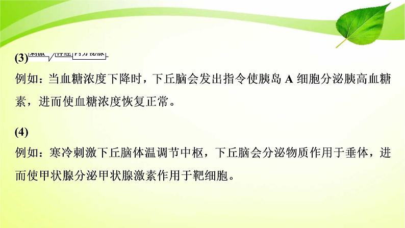 2022年高考生物复习：加强提升课件(八)动物生命活动调节模型及相关实验突破(含解析)第5页