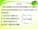 2022年高考生物复习：加强提升课件(二)光合作用与细胞呼吸综合应用(含解析)