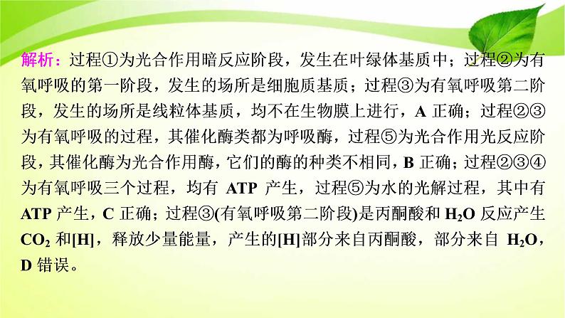 2022年高考生物复习：加强提升课件(二)光合作用与细胞呼吸综合应用(含解析)第6页