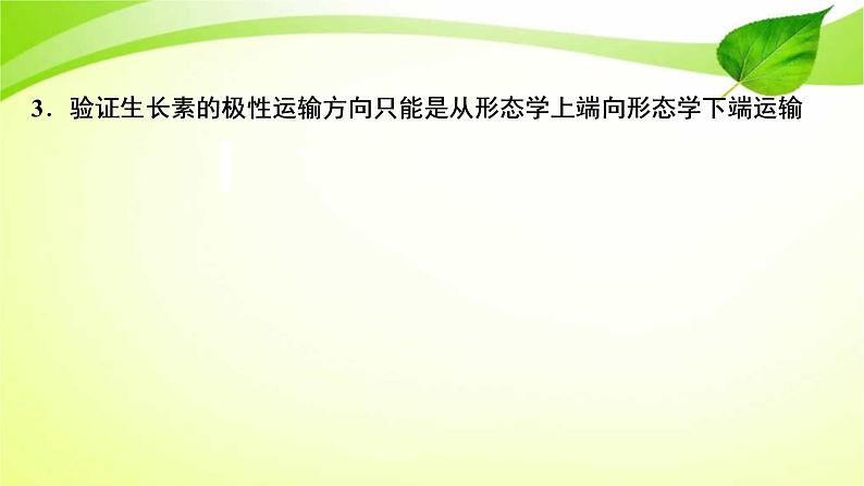 2022年高考生物复习：加强提升课件(九)植物激素调节相关实验探究(含解析)04